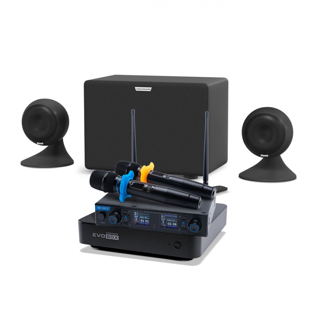 караоке-комплект EVOBOX + EvoSound Sphere 2.1 в Муроме