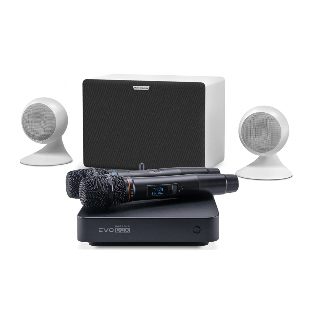 караоке-комплект EVOBOX Classic + EvoSound Sphere 2.1 в Муроме
