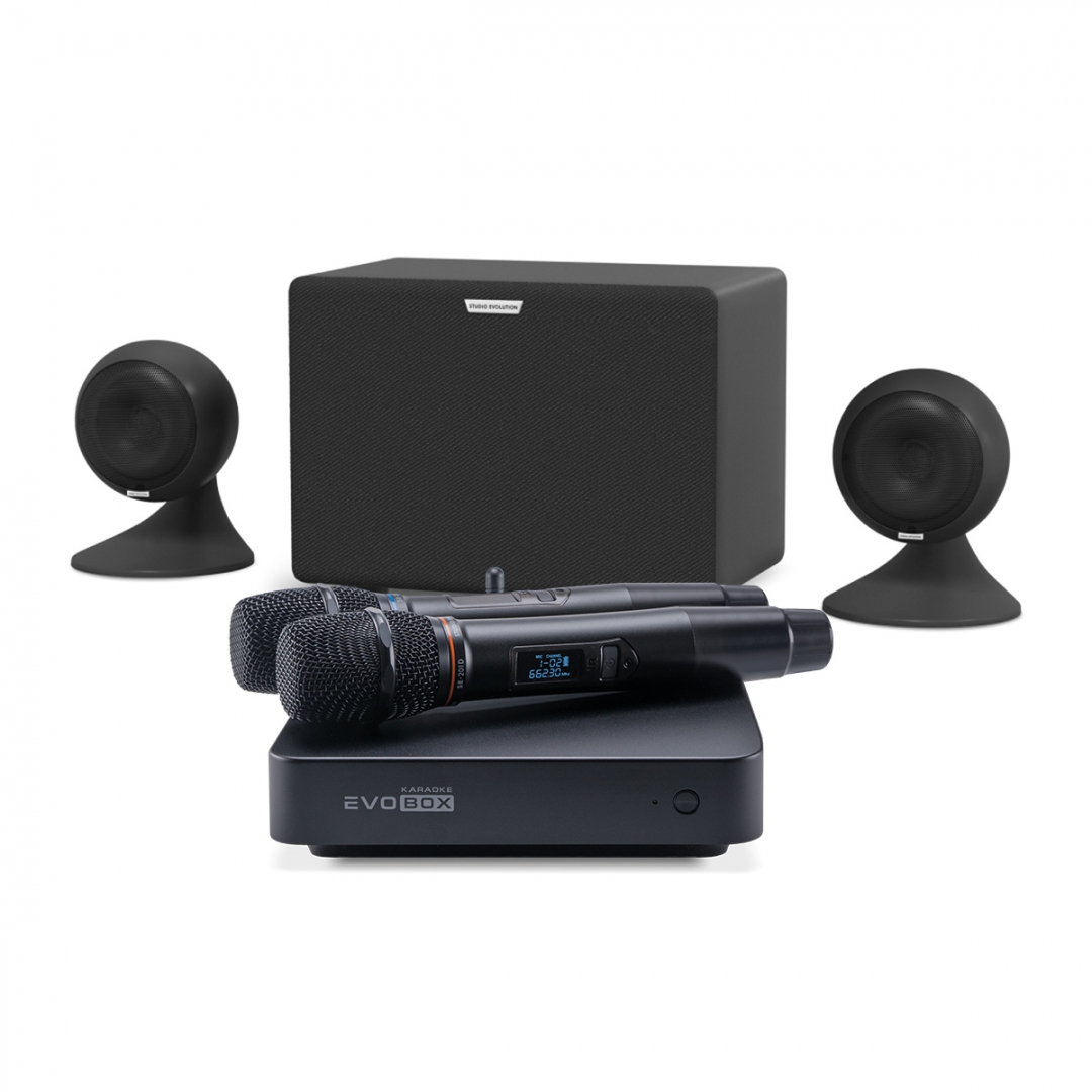 караоке-комплект EVOBOX Plus + EvoSound Sphere 2.1 в Муроме