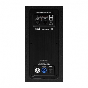 Активная акустическая система AST-310A в Муроме