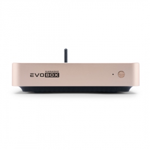 EVOBOX Plus караоке-система для дома в Муроме