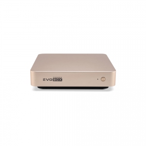 EVOBOX с микрофонами в Муроме